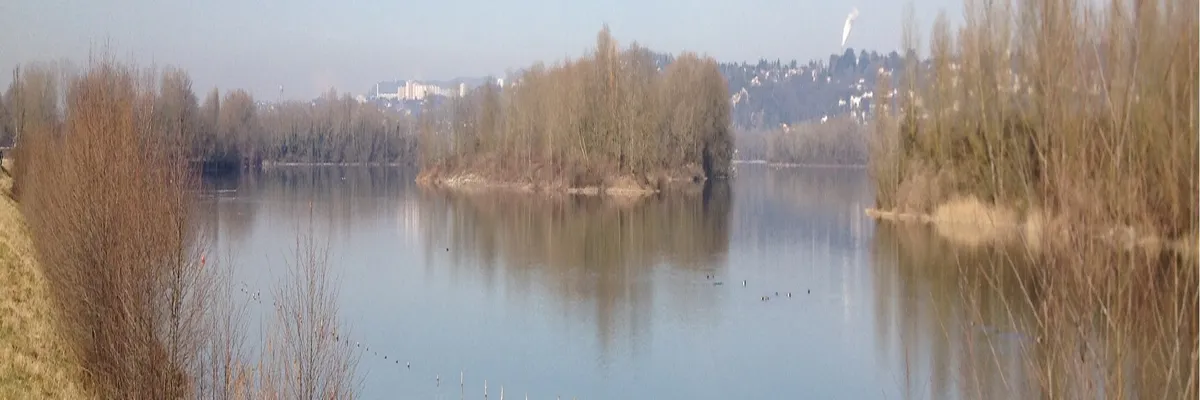 image-installateur-carport-solaire-thil.webp Image Installateur carport solaire Thil