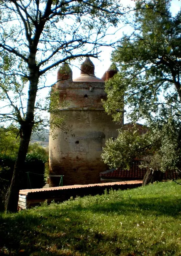 Carport Solaire 31 Installateur carport solaire Montgeard