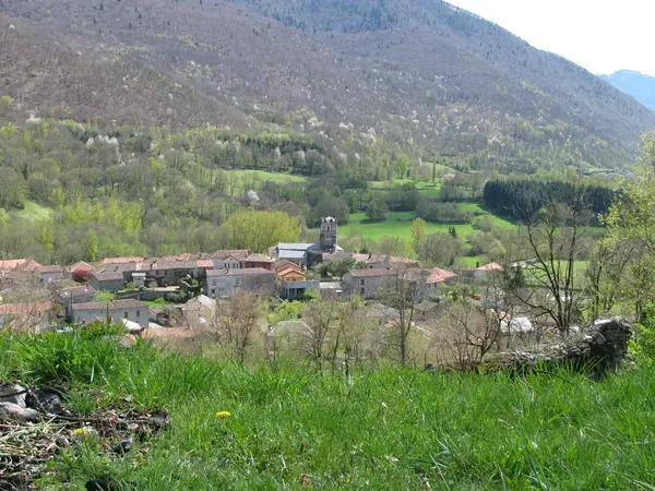 Carport Solaire 31 Installateur carport solaire Saint-Pé-d'Ardet