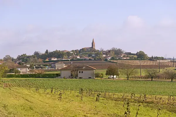 Carport Solaire 31 Installateur carport solaire Vacquiers